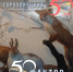 Выпуск № 47.   Когда судьба — стать музейным экспонатом. Коллекция «таксидермия» - Историко-архитектурный музей