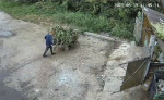 Камеры фиксируют нарушения