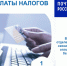 1 декабря 2025 года - срок уплаты имущественных налогов - Администрация Гороховецкого района